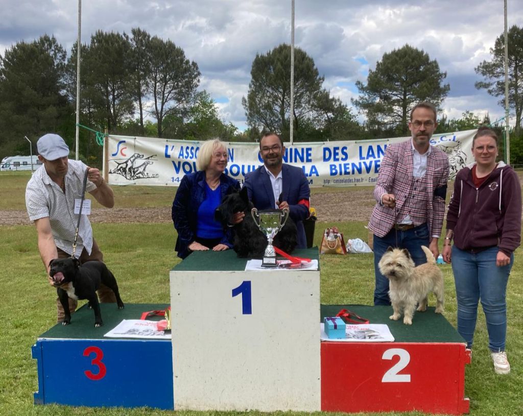 du Harpouy D'Auzan - Exposition Canine Mont de Marsan 28/04/24