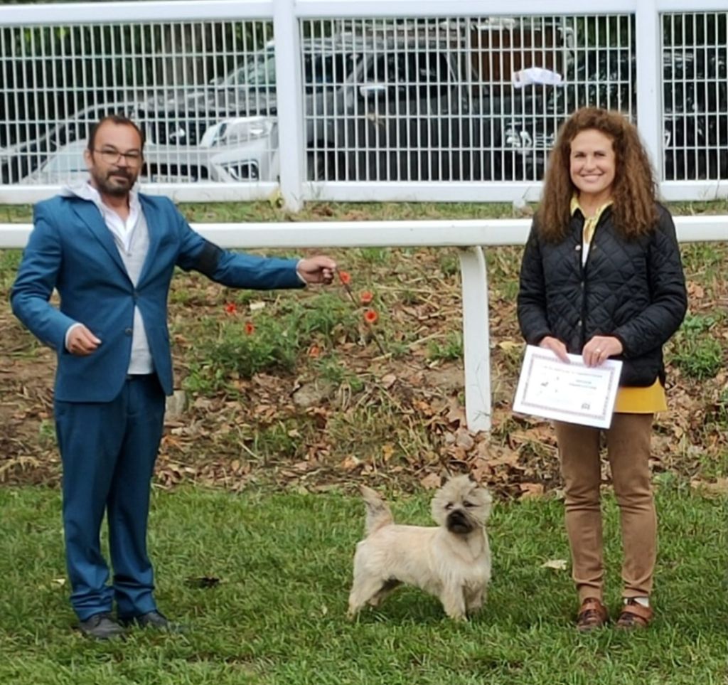 du Harpouy D'Auzan - Exposition Spéciale de Race Carcassone