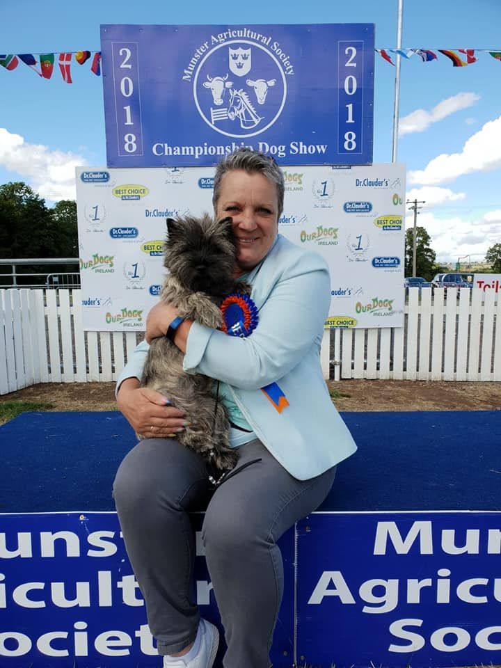 du Harpouy D'Auzan - Munster Agricultural Show 28/07/18