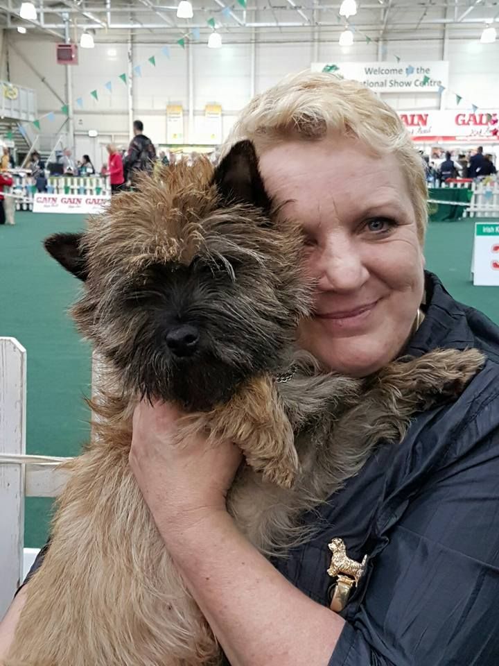 du Harpouy D'Auzan - Crufts 9 Mars 2018 Birmingham Open Bitch