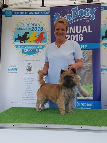 du Harpouy D'Auzan - Limerick & District Canine Club Ch. Show 25/8/16