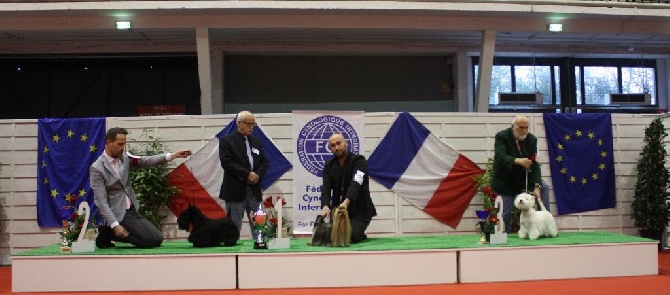 du Harpouy D'Auzan - Exposition Canine Spéciale de Race Toulouse