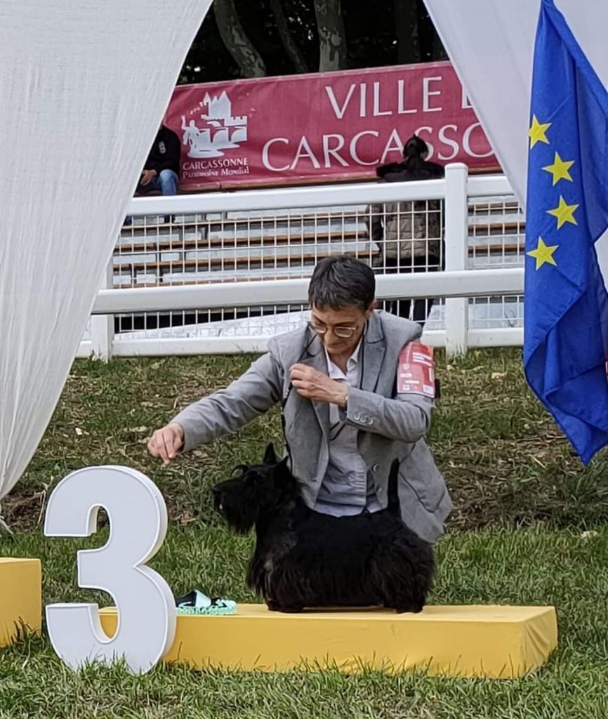 du Harpouy D'Auzan - Exposition Spéciale de Race Carcassone