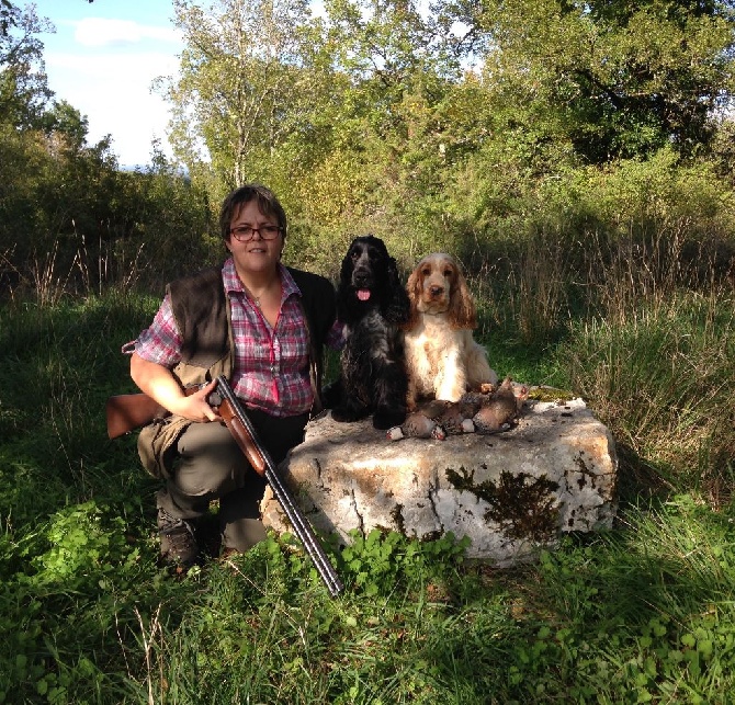 des sous-bois Becassiers - Une Belle Journée de Chasse !!