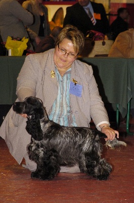 des sous-bois Becassiers - CACIB Périgueux  05/03/2011