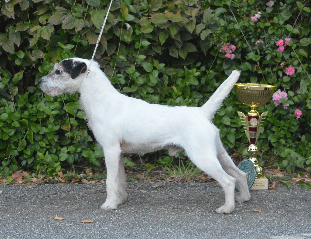 Indien Champion de France