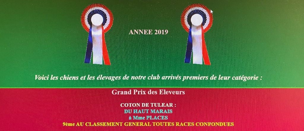 CLASSEMENT VOS CHIENS MAGAZINE 2019