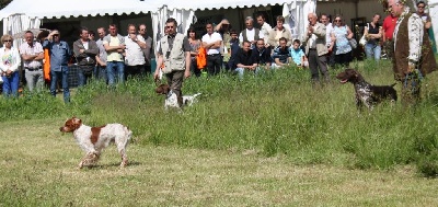 De la louviere en champagne - fête Chasse et Terroir 