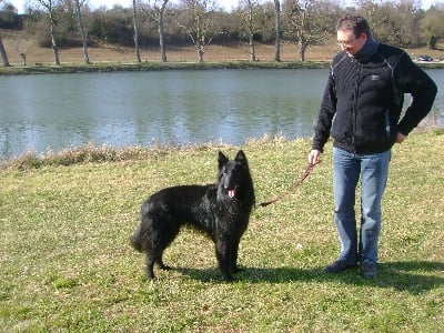 du pré de l'aubois - Résultats des Jeunes de Vigor et Star CACIB Niort 2009