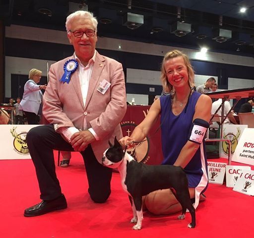 vom norden haus - DUNKERQUE - NORTH SEA DOG SHOW