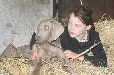 du Tombel'eau - Une vraie vie de chien 