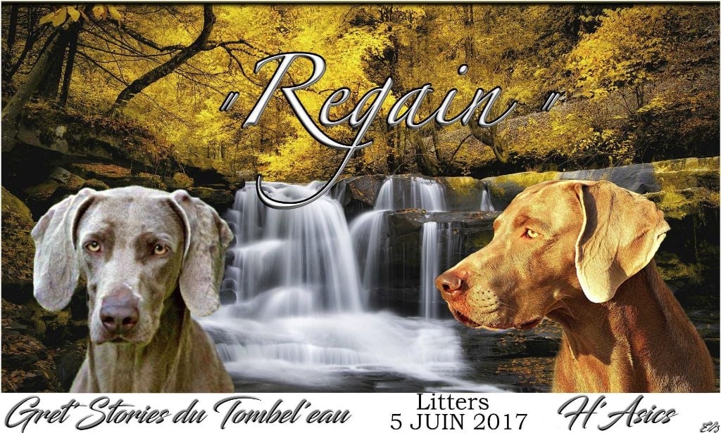 du Tombel'eau - REGAIN