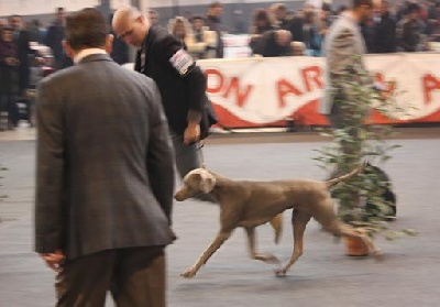 du Tombel'eau - FIRSTLADY à BARCELONE