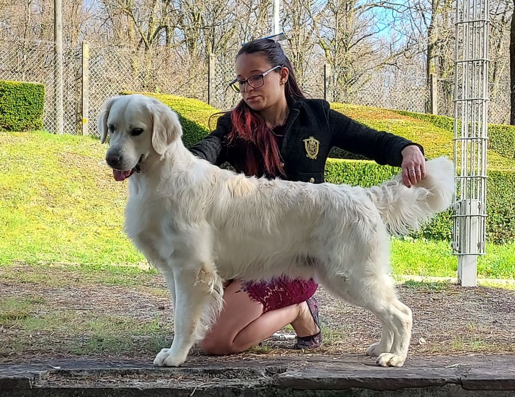 des Vignes du Broca - Exposition Canine Limoges 2022