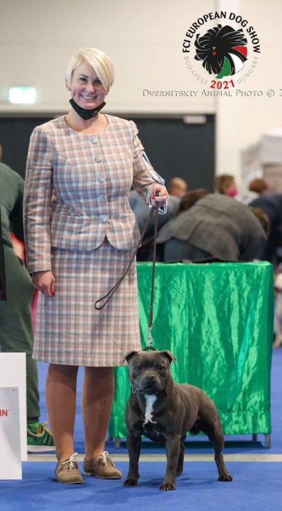 Euro Dog Show Budapest 2021 Multi CH Pharaon 1 er CAC