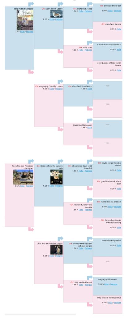 de l'Outsaïna - Nos prochaines naissances sont prévus début 2023