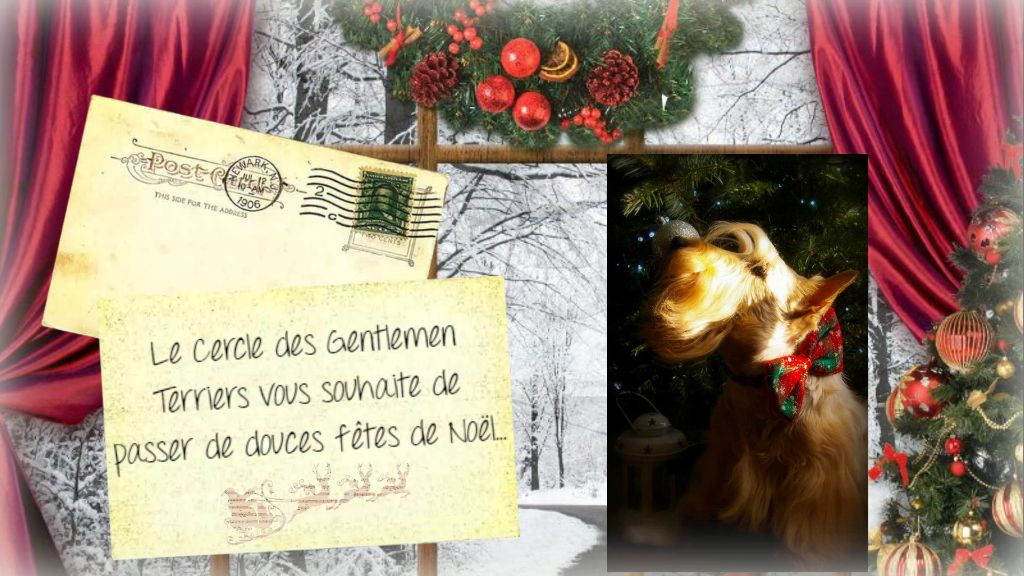 du cercle des gentlemen terriers - Joyeux Noël !