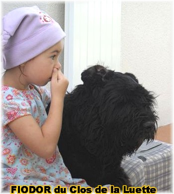 du Clos de la Luette - LE BOUVIER DES FLANDRES DU CLOS DE LA LUETTE et LES ENFANTS