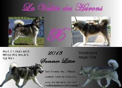 de la Vallée des Hurons - PORTEE  POUR FIN JUIN  2013 !!!