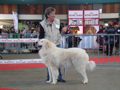 De la cascade de couplan - Exposition Canine Internationale, Limoges 14 Avril 2013