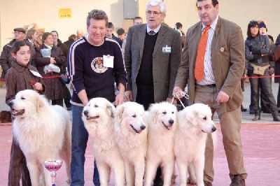 De la cascade de couplan - Exposition Canine Internationale, Chalons-en-Champagne 31 Janvier 2009