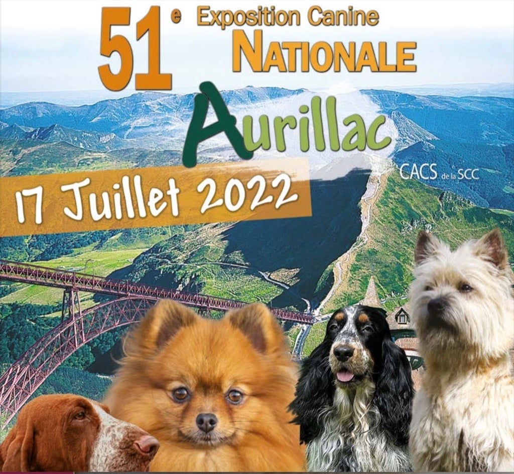 Exposition Canine Nationale, Aurillac 17 Juillet 2022