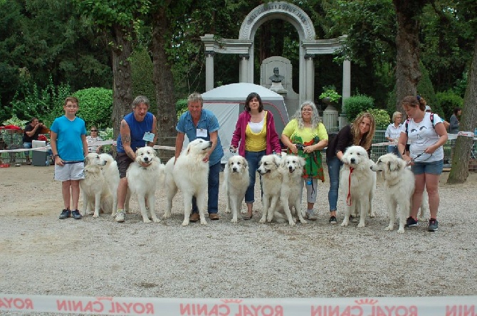 De la cascade de couplan - Exposition Canine Nationale, Le Puy-en-Velay 31 Juillet 2016