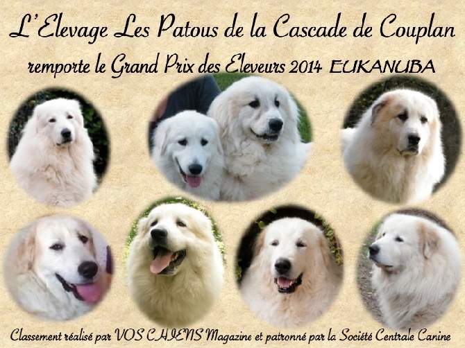 De la cascade de couplan - VOS CHIENS Magazine 2014