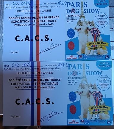 RESULTATS PARIS DOG SHOW 2025