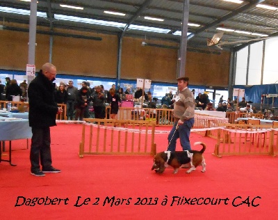 des terres du cossier - Expo de Flixecourt