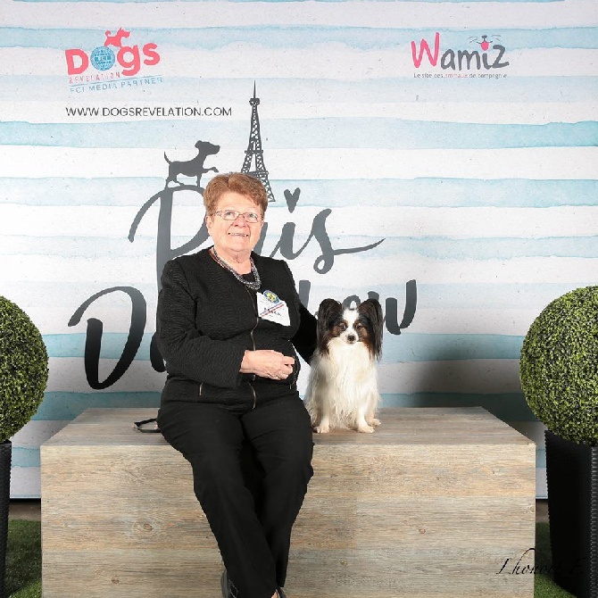 des terres du cossier - RETOUR DE PARIS DOG SHOW