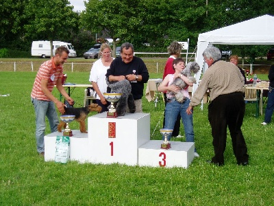 Des petits roys de mae - régionale d'élevage 2007