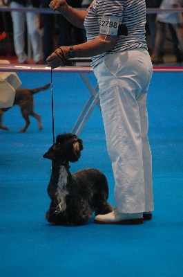 Des petits roys de mae - championnat de france 2012 à METZ