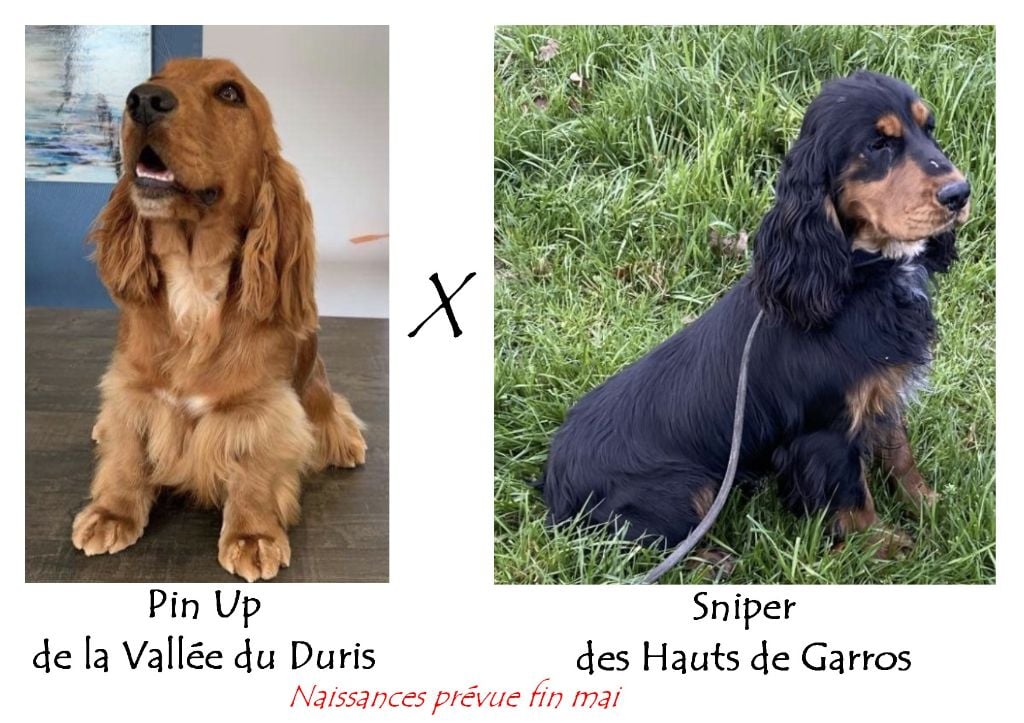 Saillie Pin Up et Sniper