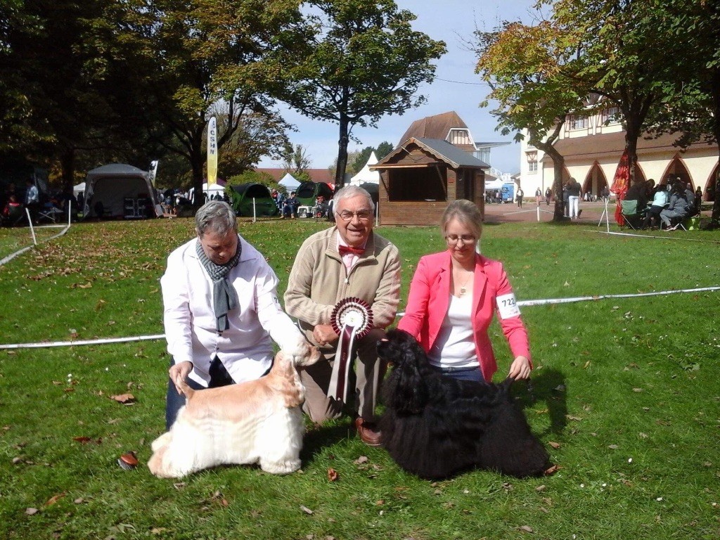 A touch of snow - Expo Le Touquet 