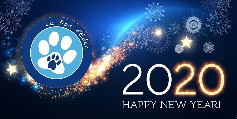 Bonne année 2020 !!!