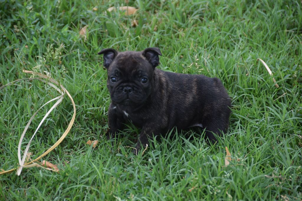 des bouilles de la Garonne - Photos des loulous en extérieur 