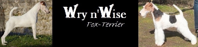 Wry n'Wise - Site Web