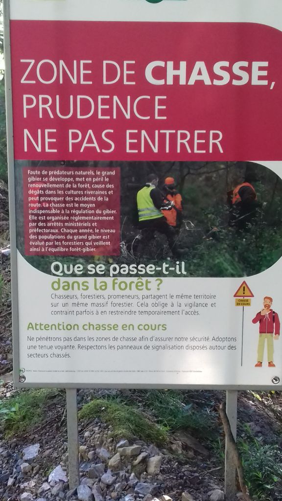 Les brumes du rocher - Forêt de l'ASSISE haut allier !!!!