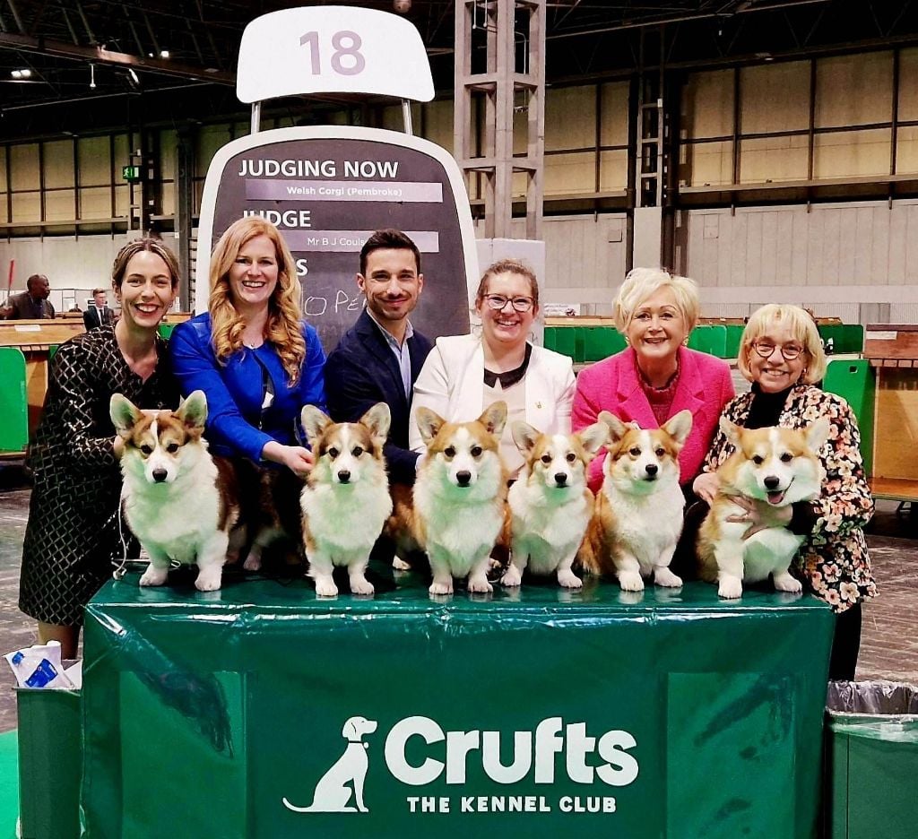 CRUFTS 2023  des Résultats de Rêve !!!