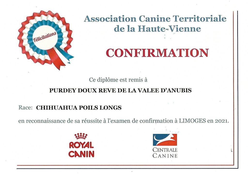 De la vallée d'Anubis - CONFIRMATION PURDEY DOUX REVE 