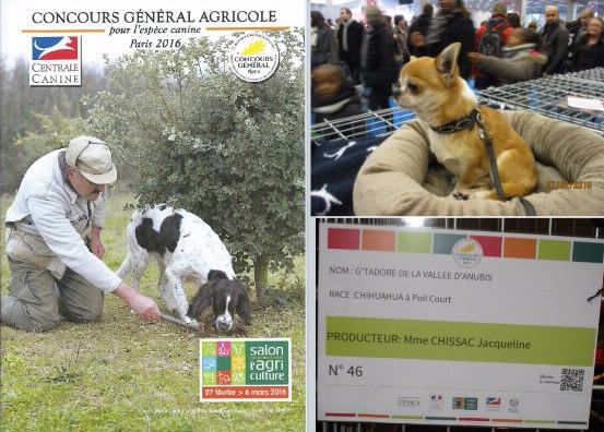 De la vallée d'Anubis - CONCOURS GENERAL AGRICOLE 27/02/2016