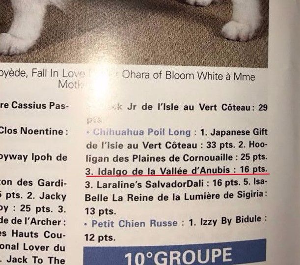 De la vallée d'Anubis - IDALGO De la Vallée d'Anubis 3 ème au classe  Vos Chiens Magazine 2016