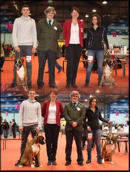 CACIB Toulouse 2016