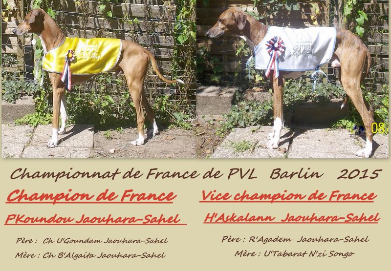 Championnat de France de PVL Barlin  2015