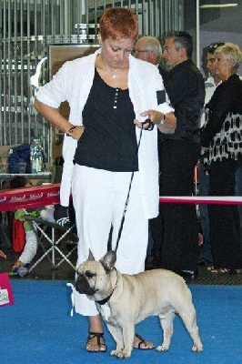 Des boules du mont d'Ayot - Exposition canine internationale de Geneve 