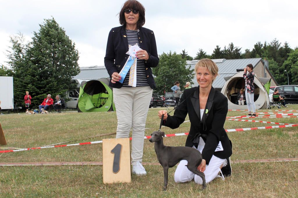 de magistris - Wandhond Festival Luxembourg