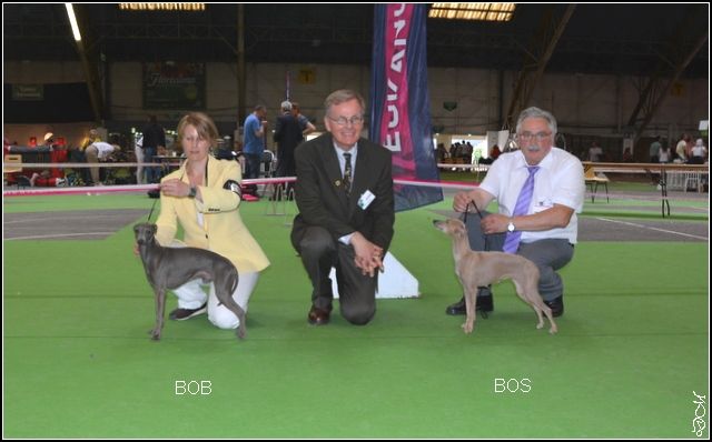 de magistris - Championnat De France