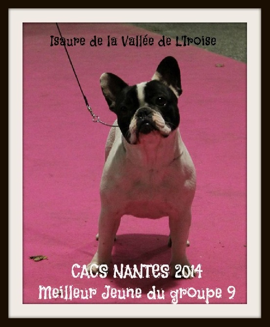 de la vallee de l'iroise - CACS NANTES SAMEDI 13 DECEMBRE 