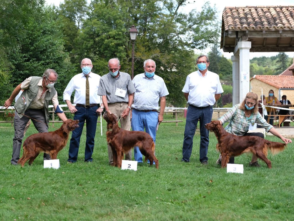 Du Domaine Du Fuchsberg - Oregane news : Nationale d'Elevage